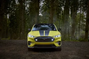 Ford Lowers Prices for Mustang Mach-E Rally