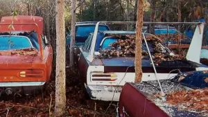 Father and Son Restore Plymouth Superbird After Decades-Long Backyard Stint