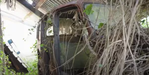 YouTuber Uncovers Rare Bristol 408—and a Forgotten Pre-War Car Hidden in Neighbor’s Hedge