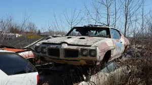 Hidden Michigan Junkyard Holds Rare Muscle Cars, Including a 1970 Pontiac GTO Judge